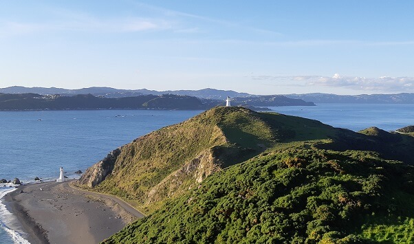 Environmental Cleaning - View of a hill over the sea