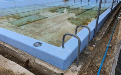 Asbestos removal summer pool in Woodville