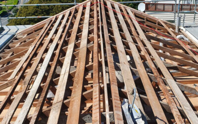 Asbestos roof removal Wellington, Upper Hutt, Porirua, Paraparaumu