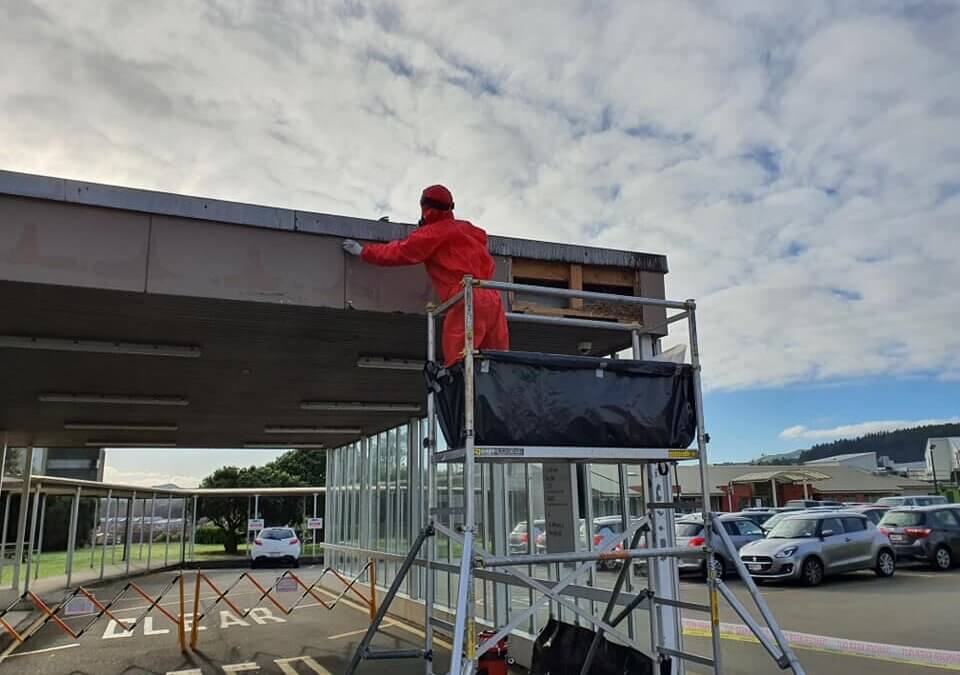 Asbestos cement fascia removal – Porirua